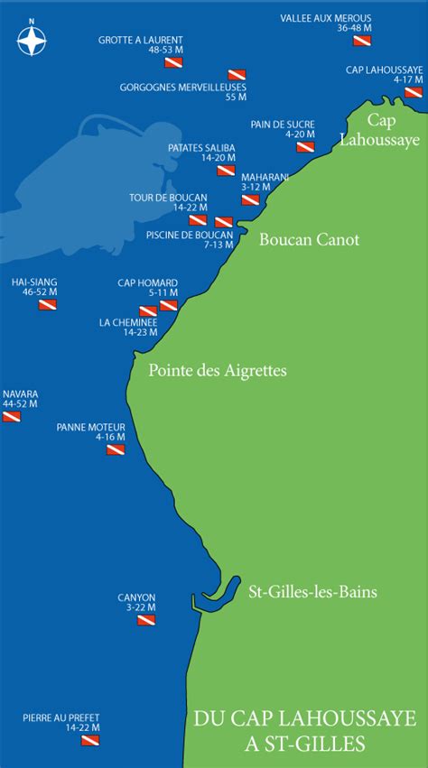 Les Sites De Plongée à La Réunion Le Cinquième Elément