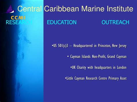 Ppt Central Caribbean Marine Institute Po Box 1461 Princeton Nj