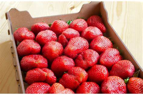 Клубника в диету