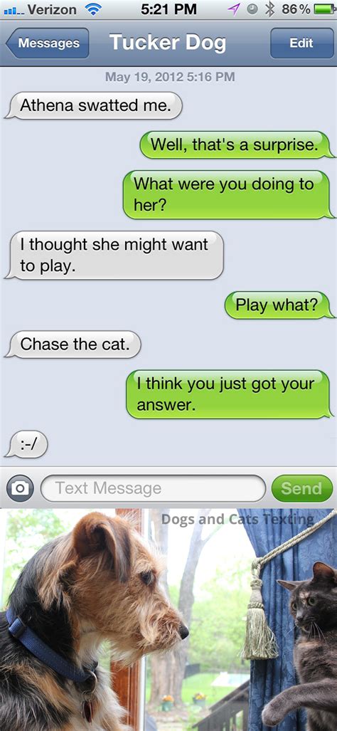 This orange cat is starving, but he apparently has a problem with staying still. Text from Dog: Playing games : Life with Dogs and Cats