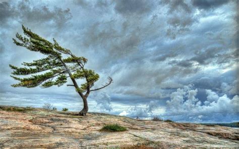 Trees Landscape Nature Sky Clouds Wallpapers Hd Desktop And