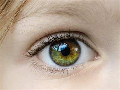 The Eyes Are The Window To Detecting Autism And Other Conditions 2021