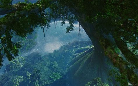 Home Tree Avatar Movie Fantasy Landscape Landscape Wallpaper