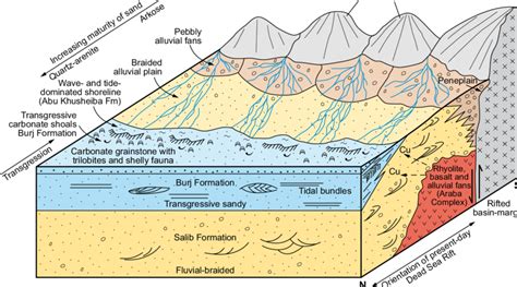 Depositional Setting And Palaeo Environments During Burj Marine