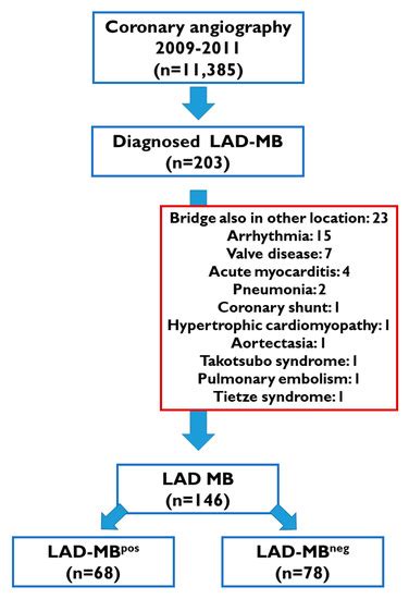 Jcdd Free Full Text Impact Of Clinical And Morphological Factors On