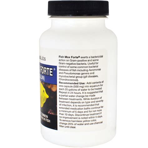 Music tv that actually plays music. FishMox | Fish Mox Forte (Amoxicillin) 500mg (100 capsules)