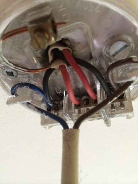 This is true of most hunter and. How To Wire A Ceiling Light With 4 Wires