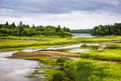 Opinion Celebrate World Wetlands Day Manitoba Co Operator