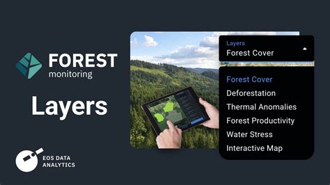 Eosda Forest Monitoring Layers Monitor Forest Cover Change In Near