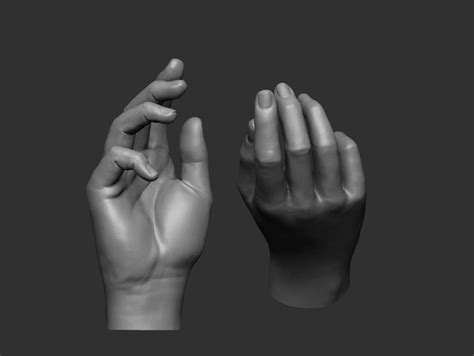 Female Hand Pose 2 3d Print Model Hand Pose Female Hand Reference