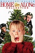 Home Alone Collection - Posters — The Movie Database (TMDB)