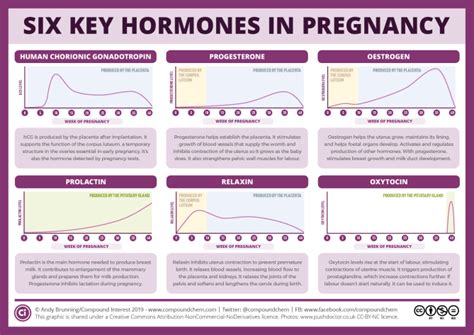 Six Key Pregnancy Hormones And Their Roles Aardco Llc