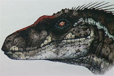 Jurassic Park 3 Concept Art Male Sorna Raptor By Indominusrex On