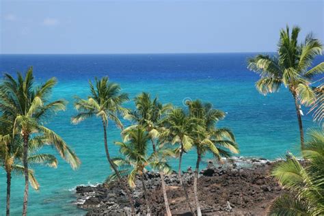 Hawaii Kona Beach Stock Image Image Of Kona Trail Heaven 2557739