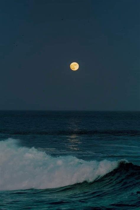 Night Aesthetic Nature Aesthetic Moon Pictures Pretty Pictures