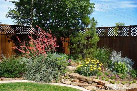 6 Texas Landscape Must Haves Low Maintenance And Drought Resistant