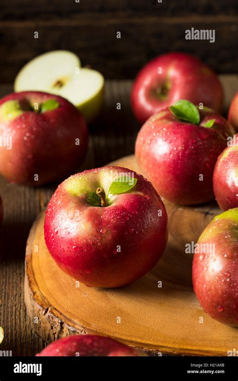 Raw Organic Red Mcintosh Apples Ready For Eating Stock Photo Alamy
