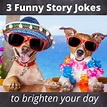 3 short funny story jokes to brighten your day - Roy Sutton