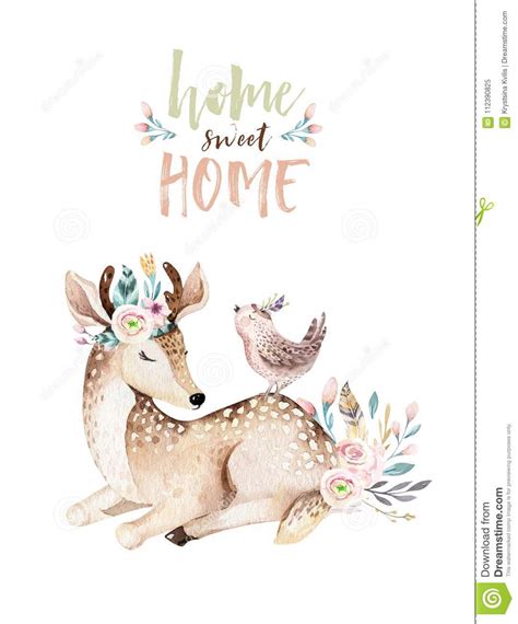 Cute Baby Deer Animal Nursery Isolated Illustration For Children