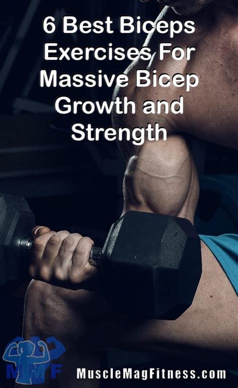 6 Best Biceps Exercises For Massive Bicep Growth And Strength