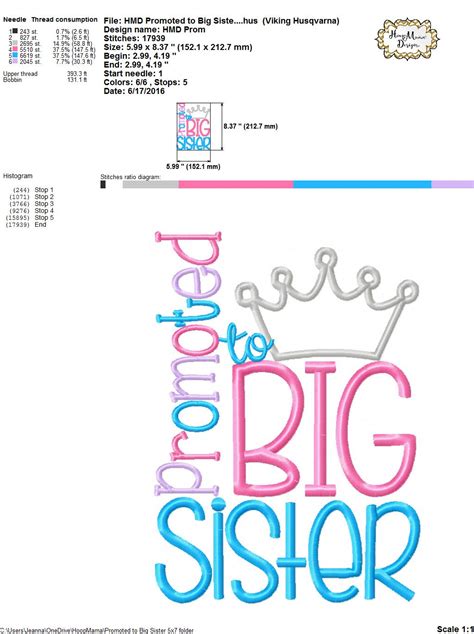 Promoted To Big Sister Embroidery And Cutting Option Hoopmama