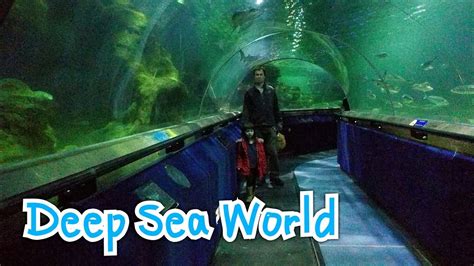 Deep Sea World 🐬🐬 Edinburgh Scotland 🐳🐳sea Aquarium 🐟🐟 Youtube