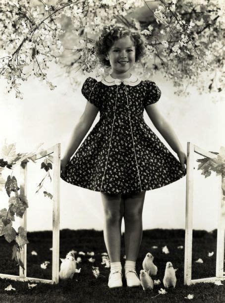 Shirley Temple Shirley Temple Shirley Temple Black Temple Dress