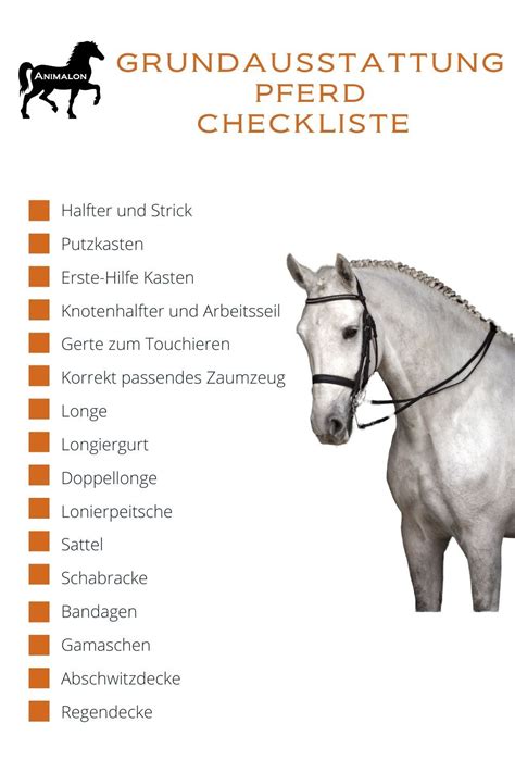 Animalon Flexible Pferdebürsten Weil Dein Pferd Besonders Pferde