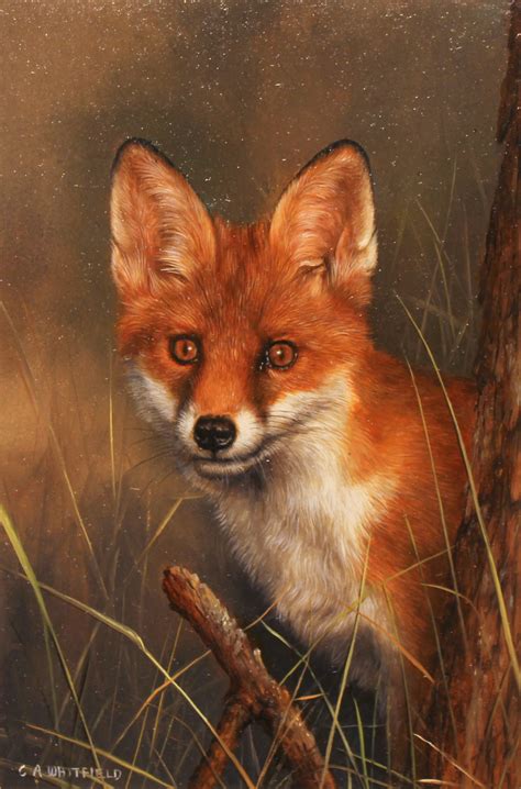 Oil Painting Fox At PaintingValley Com Explore Collection Of Oil