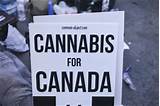 Canadian Marijuana Laws 2017