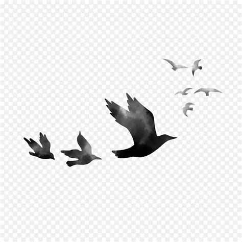 中国水墨飞鸟鸟群PNG图片素材下载 图片编号ybvvoeon 免抠素材网