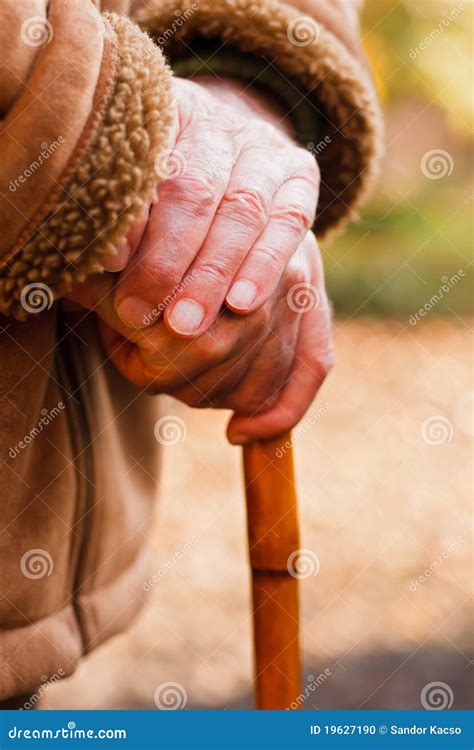 Elderly Hands Resting On Walking Stick Stock Photo Image Of Lean