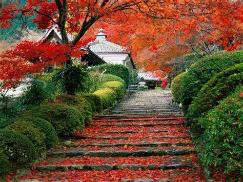 Beautiful Country Japan Wallpapers Portland Japanese Garden Japanese