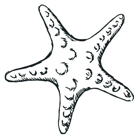 Starfish Tattoo Black And White White Starfish Tattoo Im Inlove 😍