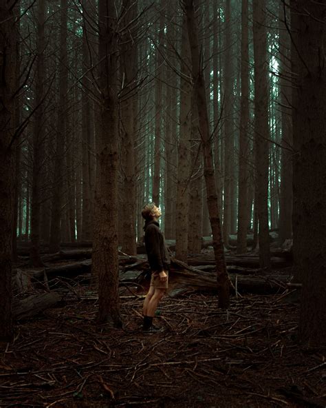 Moody Forest Pictures Download Free Images On Unsplash