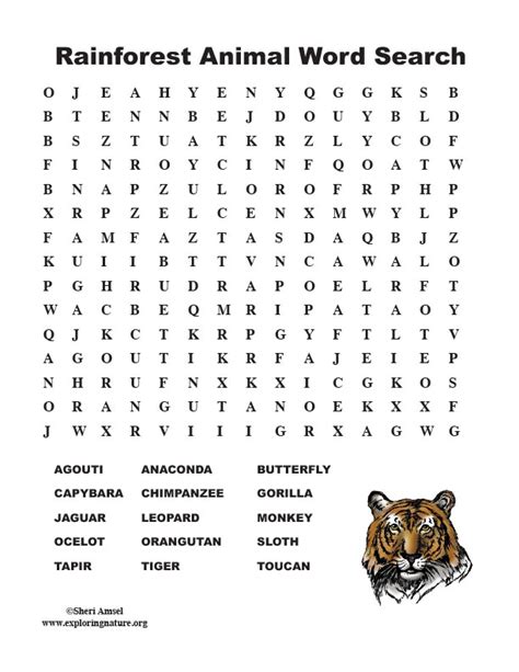 Rainforest Animal Word Search Middle