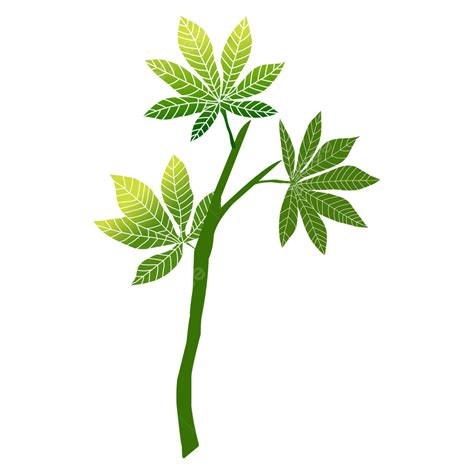 카사바 나무 벡터 카사바 카사바 잎 디자인 Png 일러스트 및 벡터 에 대한 무료 다운로드 Pngtree