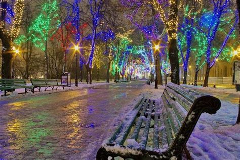 Snow Christmas Lights Winter Wonderland Bing Images Cool Christmas