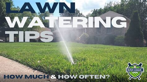 Lawn Watering Tips How Long Should You Water Your Lawn In Ground