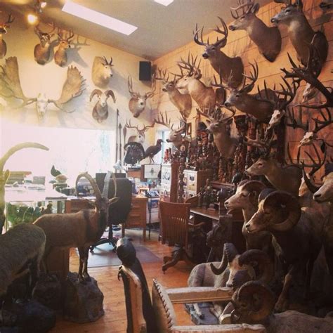 Man Cave Trophy Rooms Hunting Room Deer Hunting Decor