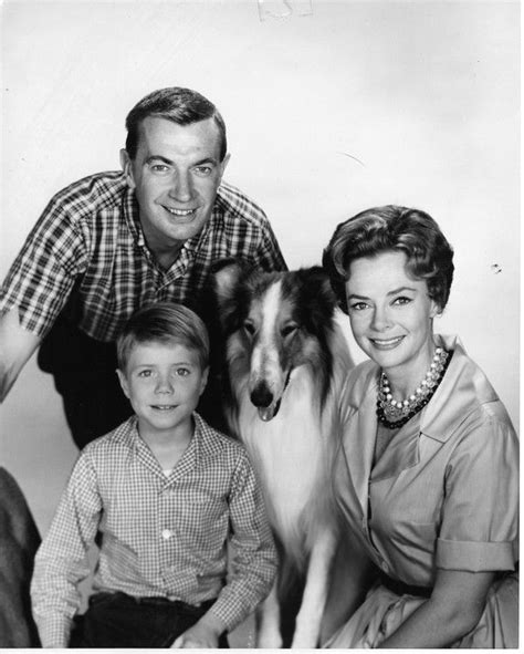 Viewers Watched Provost Grow Up On The Set Of Lassie Alte Filme