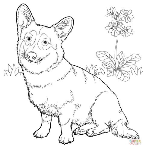 A cute puppy coloring pages. Hard Dog Coloring Pages at GetDrawings | Free download