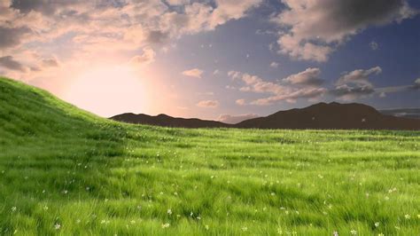 Grass Animation Made In Blender 3d 258a Hd Youtube