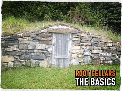 Root Cellars The Basics Preparing For Shtf Root Cellar Cellar
