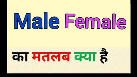 male female meaning in hindi male female ka matlab kya hota hai मेल फीमेल का मतलब क्या