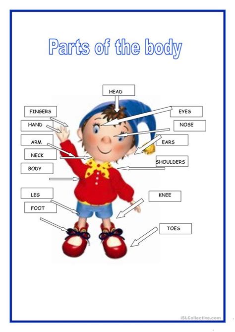 Match words and pictures (matching exercise) and write the wo. Parts of the body worksheet - Free ESL printable ...