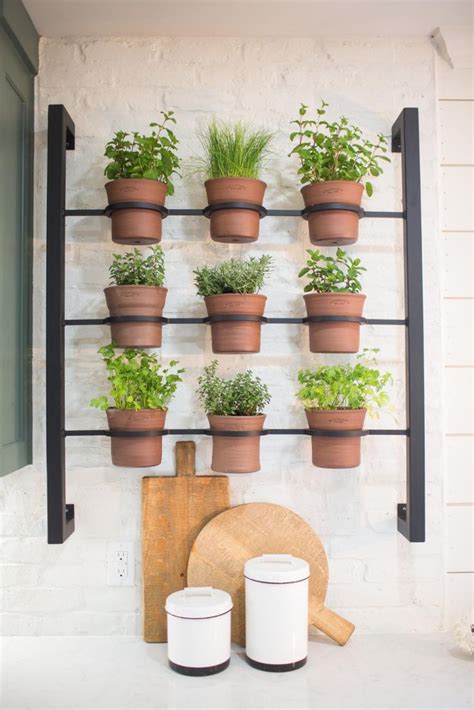 Decorating Our Homes With Plants Herb Wall Herb Garden In Kitchen