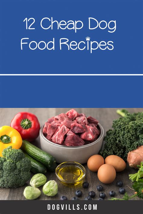 12 Cheap Dog Food Recipes To Try When Food Is Scarce Dogvills Raw