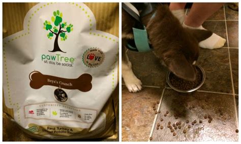 20 reasons pawtree dog and cat food is a better way*. Make Finding Nutritious Dog Food Easy with pawTree ...