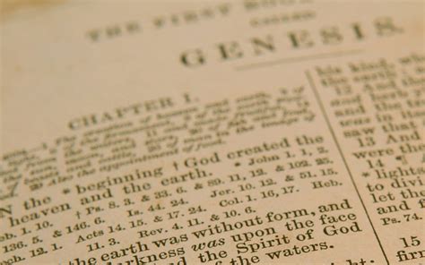 Genesis A Book Of Beginnings Plain Bible Teaching